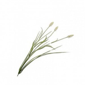 MUSCARI H73cm SI - cream/green
