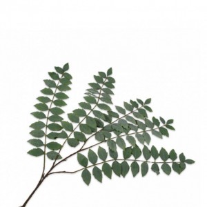 FOGLIA RAMO SPRAY H138cm SI - green