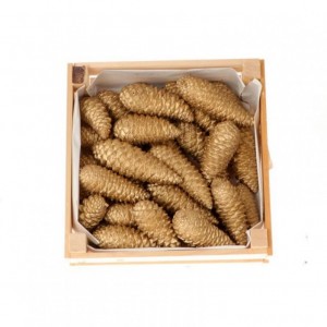 PIGNA MARITIMA CLOSED 3kg - gold NETTO