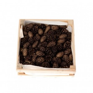 PIGNA PINEA DOUGLAS 2kg - old gold NETTO