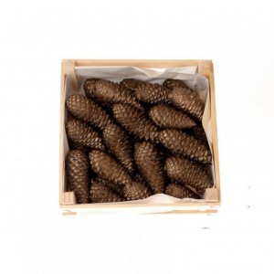 PIGNA MARITIMA CLOSED 3kg - old gold NET