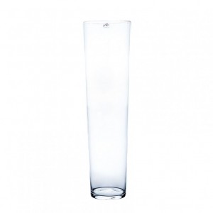 GLASS H 50CM 17 CM DM