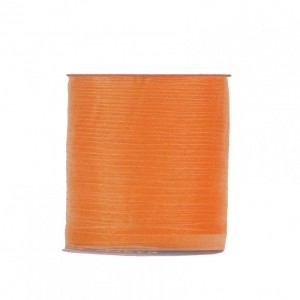 N/SHINING ORGANZA 5MM 200MT - orange