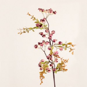 BACCA ramo H74 BA - lilac *