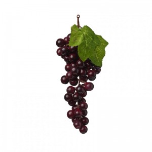 UVA GRAPPOLO H23 frutto - purple