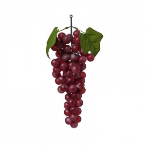 UVA GRAPPOLO H23 frutto - purple/red