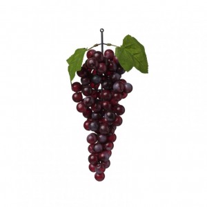 UVA GRAPPOLO H29 frutto - purple