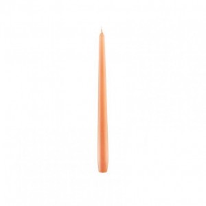 CANDELE PZ10 mm250x22 (250/22)- pesca