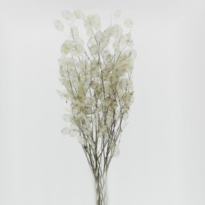 LUNARIA GR. 40 H90 CM - natur/bianca