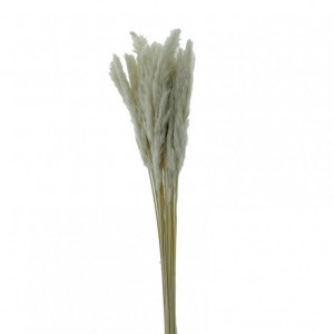 MINI PAMPAS - white