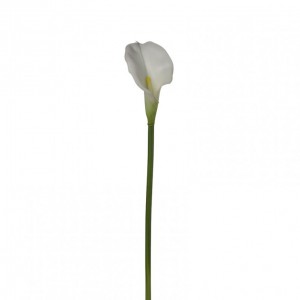 CALLA ramo H78 CA - cream *