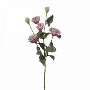 LISIANTUS H80cm - pink *