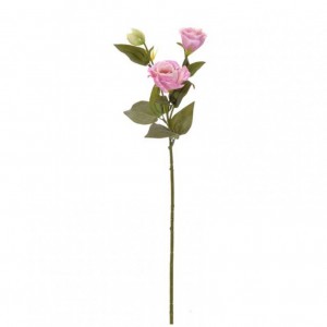 LISIANTHUS X2 H70cm LI -pink *