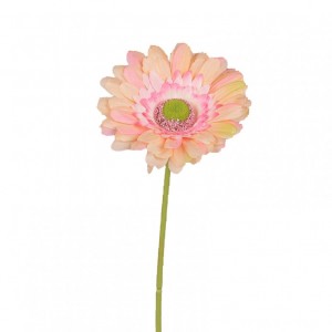 GERBERA H60cm GE - salmon *