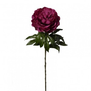 PEONIA H60cm PE - burgundy *