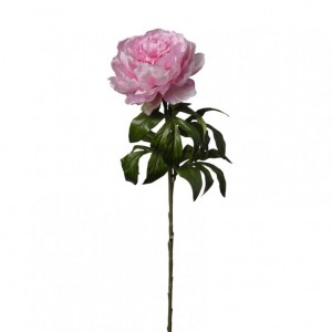 PEONIA H60cm PE - pink *