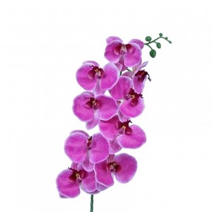 ORCHID X9 H80 cm OR -purple *