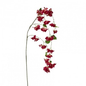 BOUGAINVILLEA CADENTE H150 BO -red *