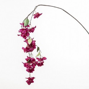 BOUGAINVILLEA CADENTE H150 BO-beaut*