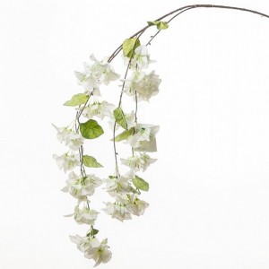 BOUGAINVILLEA CADENTE H150 cm BO-white *