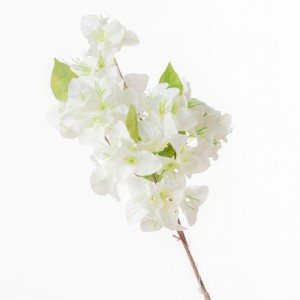 BOUGAINVILLEA ramo H70 BO - white *