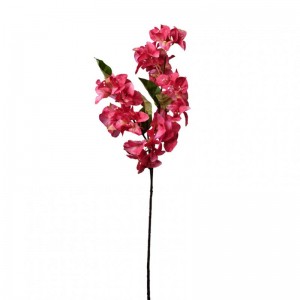 BOUGAINVILLEA H70 BO - red *