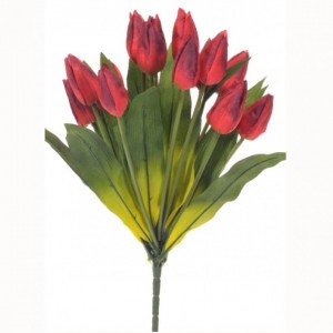 TULIP BOUQUET X18 - TU6,75 *