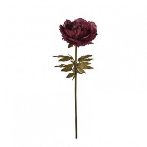 PEONIA ramo GIGANTE H110 PE - wine