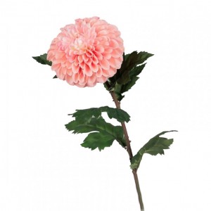 DALIA RAMO H74cm - DA pink *