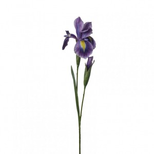 IRIS RAMO X2 H68 IR - dark purple *