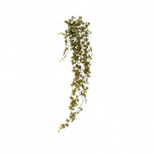 EDERA CADENTE H180 ED -green *