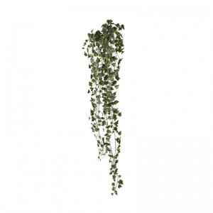 EDERA CADENTE H180 CD - variegated *