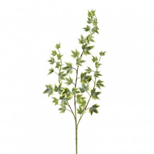 EDERA RAMO X3 H57 ED - frosted varieg.*