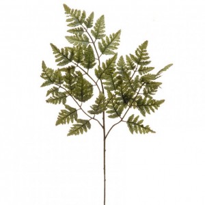 FOGLIA FELCE X5 H70 FE -green *