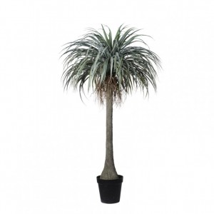 PIANTA YUCCA C/VASO H165 PN - green*