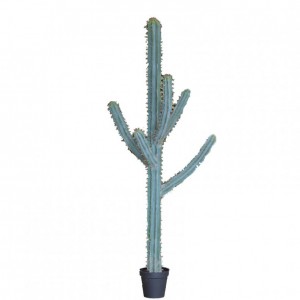 PIANTA CACTUS C/VASO H210cm PN - green*