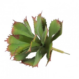 PIANTA agave D20 H28cm PG-fr.green*