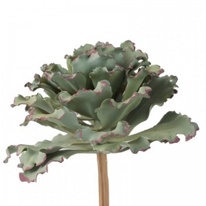 PIANTA agave D22 H23,5cm PG-fr.green *