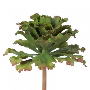 PIANTA agave D22 H23,5cm PG - green*