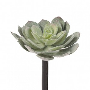 PIANTA GRASSA D20 H17,5 CM PG - green*