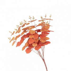 EUCALIPTO mazzo H46 EU - orange *