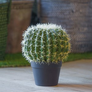 PIANTA CACTUS C/VASO 27XH33 PN - green*