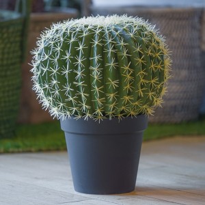 PIANTA CACTUS C/VASO 33XH45 PN - green*