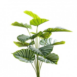 AMARANTA MAZZO X12 H60 AM - green *