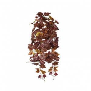VITE CADENTE X11 H82 CD - wine *