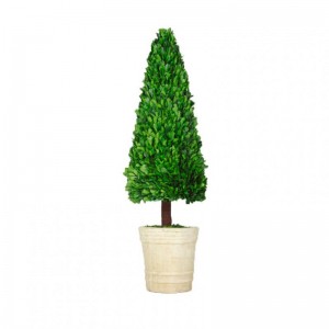 ALBERO BOSSO STABILIZ.D30 H110 C/VASO