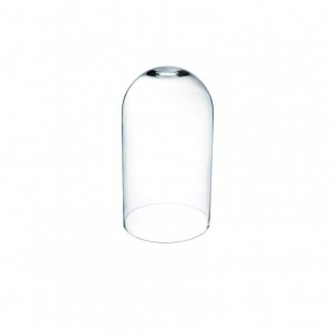 GLASS DOME H 22 DIAM. 12