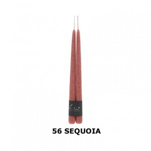 CANDELE pz2 mm300x22 (300/22) - sequoia