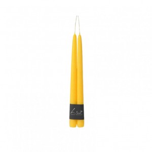 CANDELE pz2 mm300x22 (300/22)-easter yel