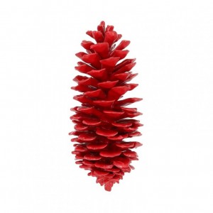 PIGNA SUGAR CERATA 35cm - red